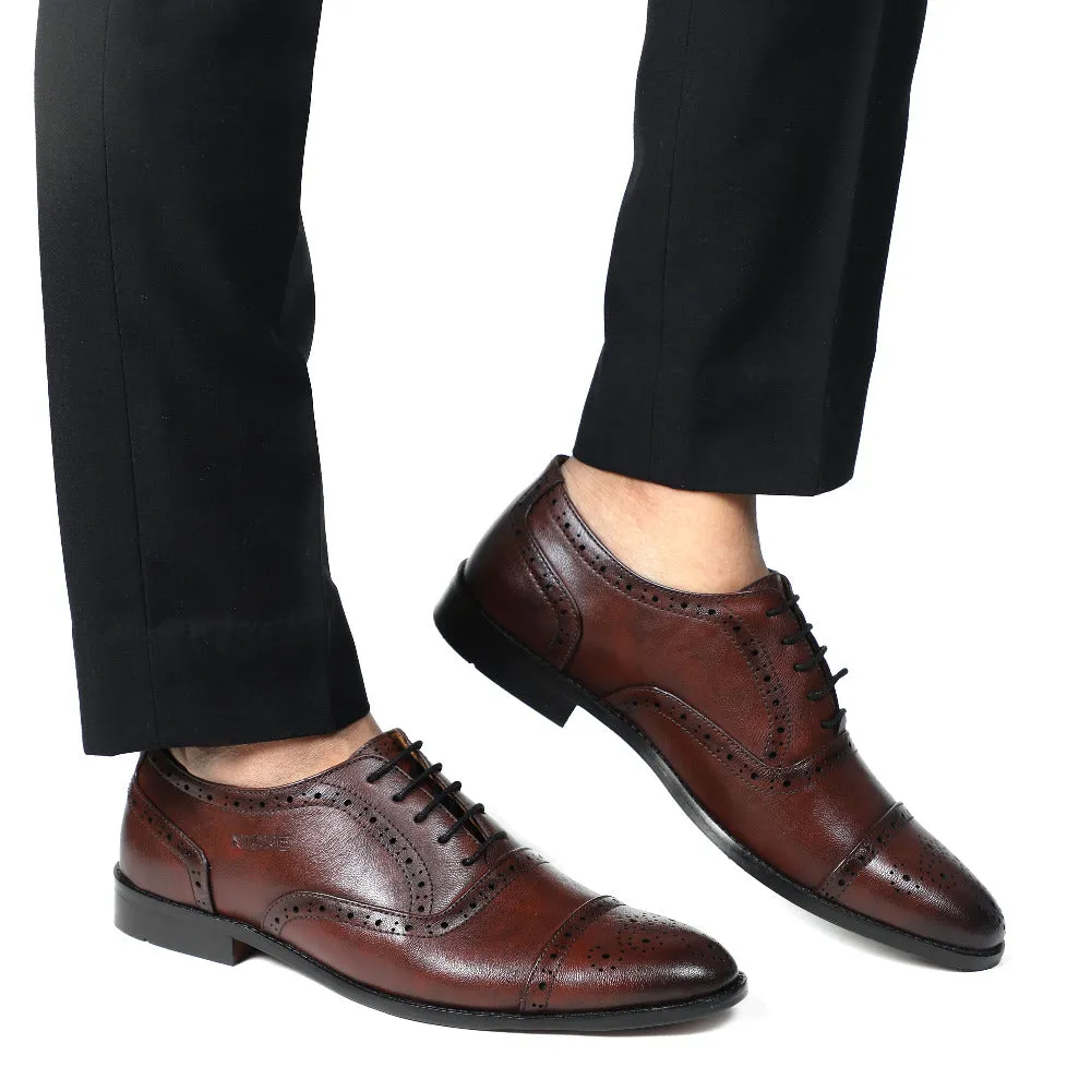 NICHE Wine Black Brogue